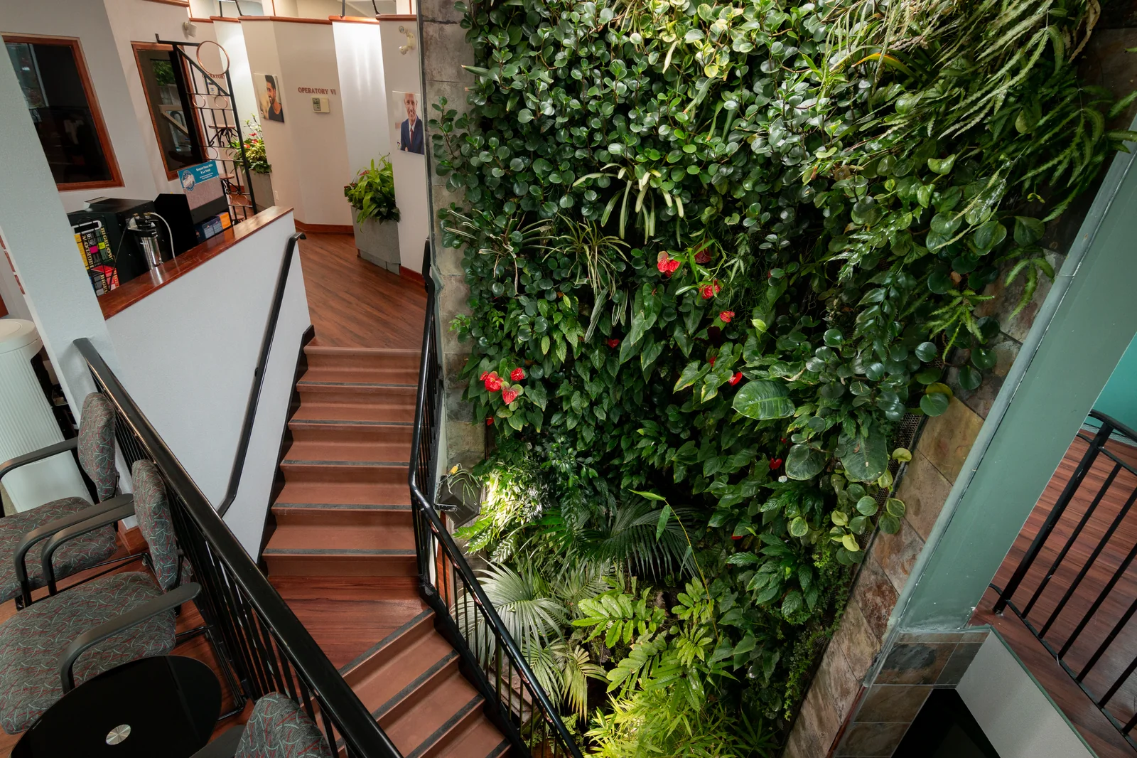 Indoor rainforest garden — a calming retreat to ease dental anxiety