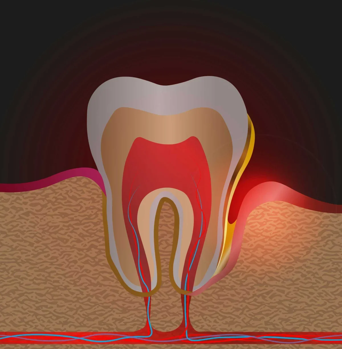Periodontal specialists at Vitality