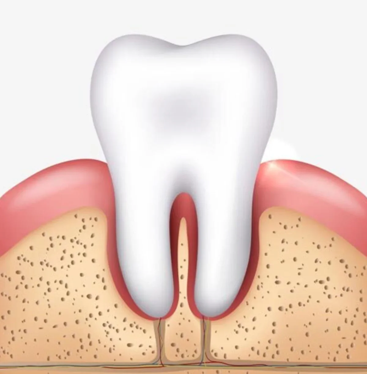 Advanced periodontal technology